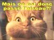 Avatar de l’utilisateur